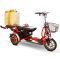 Электротрицикл Адъютант Elbike Double Twix A4
