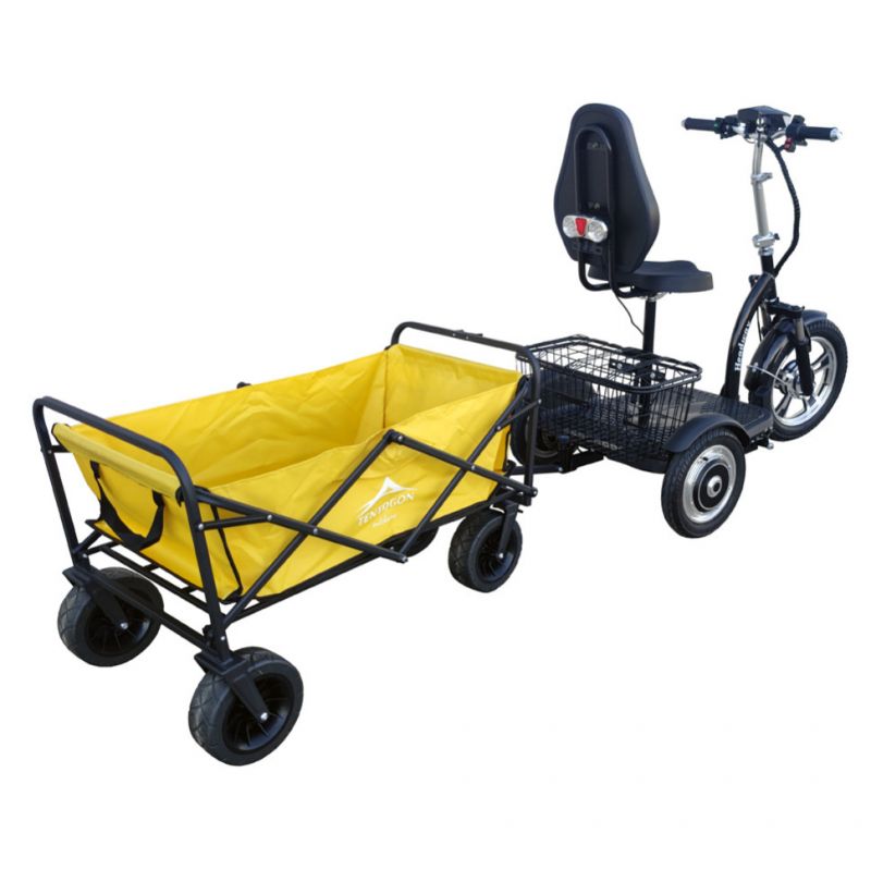 Электротрицикл HEADWAY LUX DUAL TR 700W Электротрицикл HEADWAY LUX DUAL TR 700W