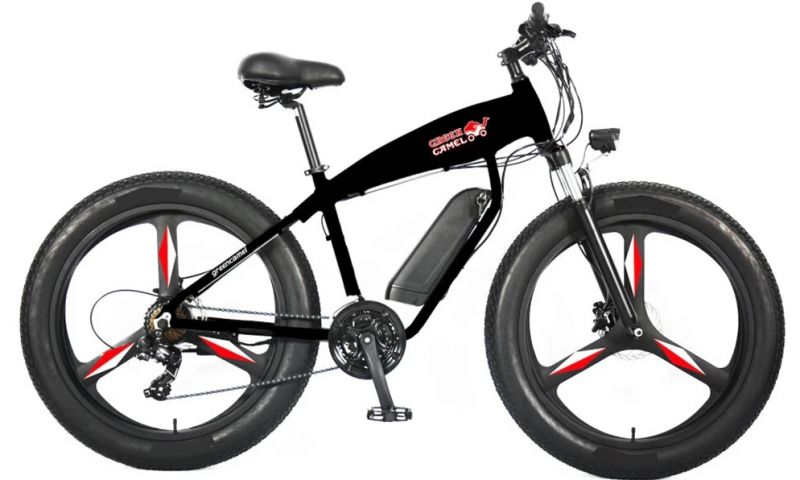 Электровелосипед GreenCamel Mustang (R26FAT 800W 48V 13Ah) Электровелосипед GreenCamel Mustang (R26FAT 800W 48V 13Ah)